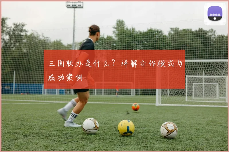 三国联办是什么？详解合作模式与成功案例