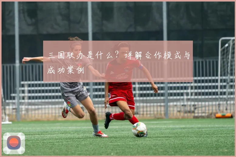 三国联办是什么？详解合作模式与成功案例