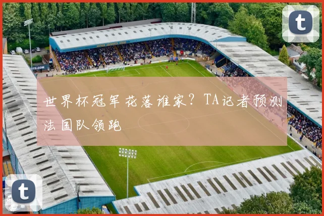 世界杯冠军花落谁家？TA记者预测法国队领跑