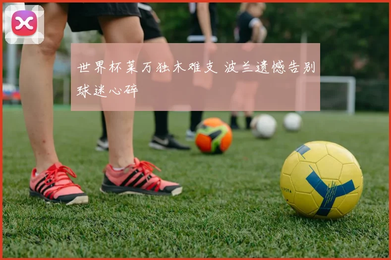世界杯莱万独木难支 波兰遗憾告别球迷心碎