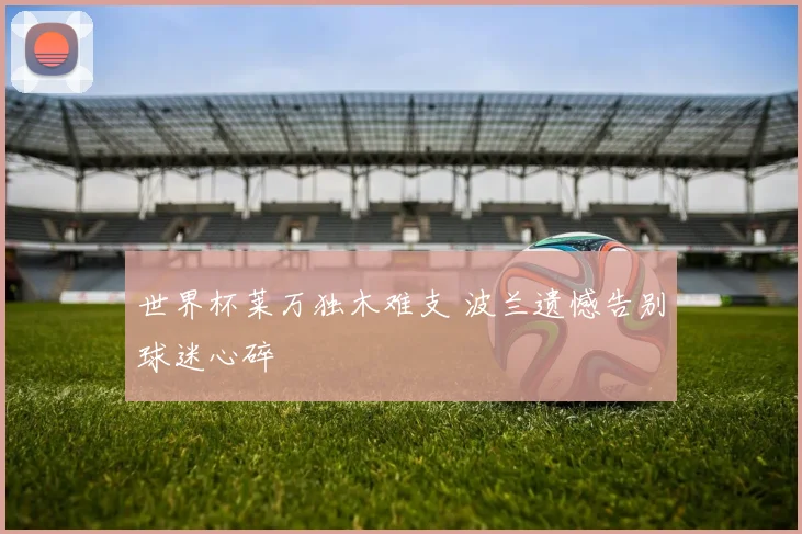 世界杯莱万独木难支 波兰遗憾告别球迷心碎